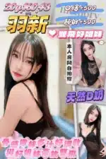 桃園定點茶-羽新