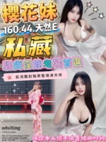 桃園定點茶-櫻花妹