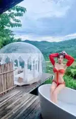 台北定點茶-何果果