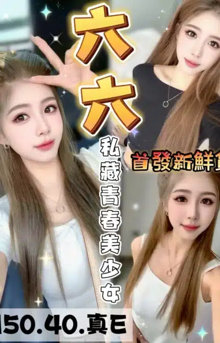 台中定點茶-六六