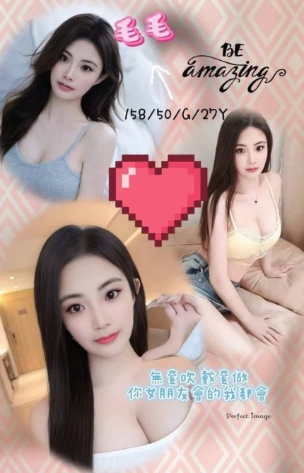 新竹定點茶-毛毛