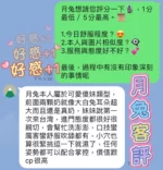 台中定點茶-月兔