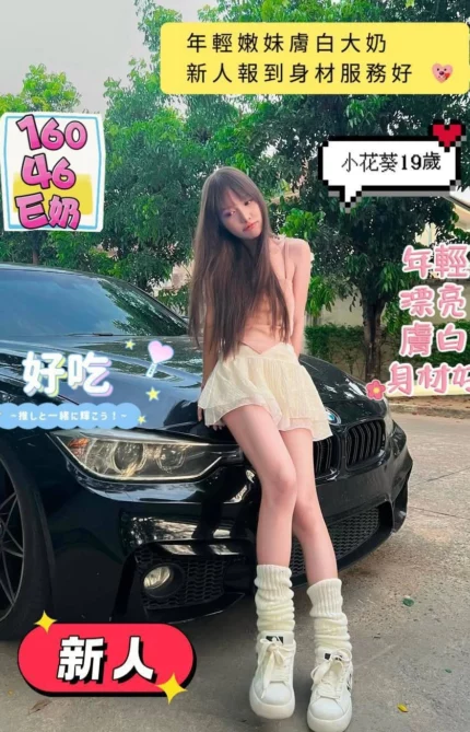 台南定點茶-小花葵