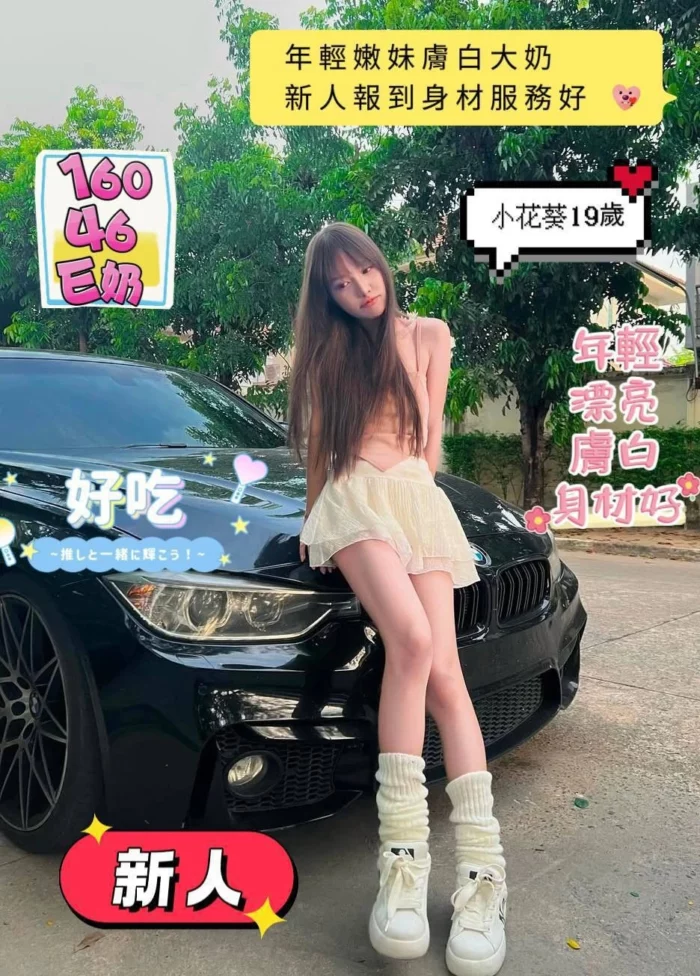 台南定點茶-小花葵