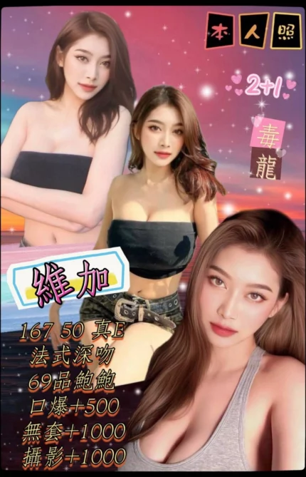 台北定點茶-維加