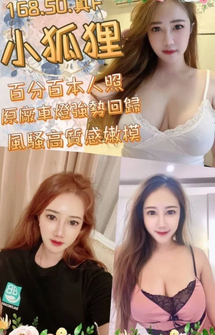 台中定點茶-小狐狸
