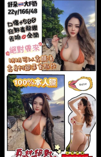 桃園定點茶-舒朵
