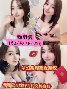 台南定點茶-西野愛/162/42/22/E