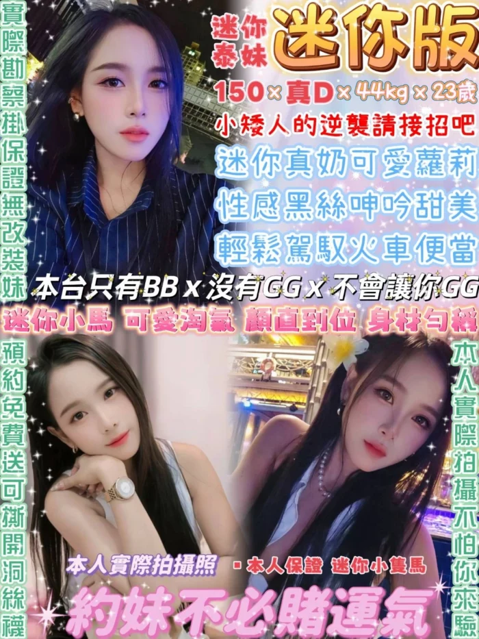 台北定點茶-迷你版/150/44/23/D