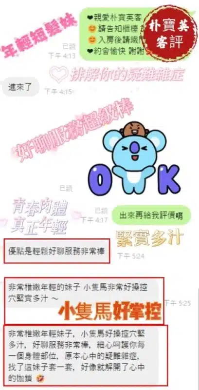 嘉義定點茶、外送茶-朴寶英