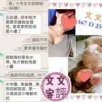 台北定點茶-文文