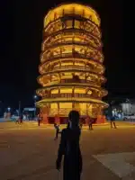 台北定點茶-櫻花姬