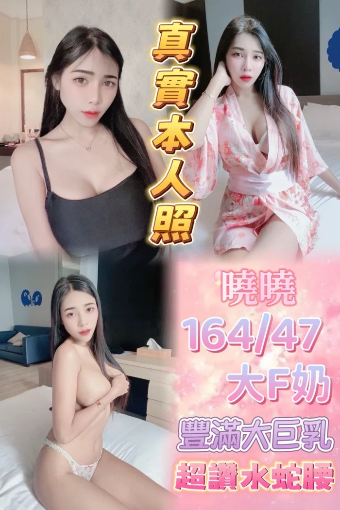 台北定點茶-曉曉