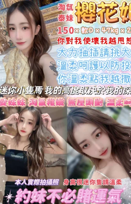 台北定點茶-櫻花姬