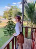 台北定點茶-小依晨/152/43/21/C