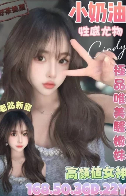 台北定點茶-小奶油/168/50/22/D