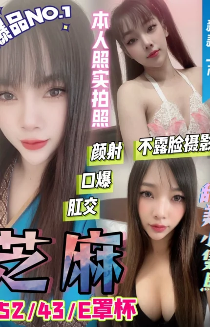 雲林定點茶-芝麻/152/43/?/E