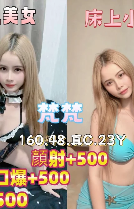 雲林定點茶-梵梵/160/48/23/C