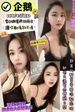 新竹定點茶-企鵝/168/45/?/D