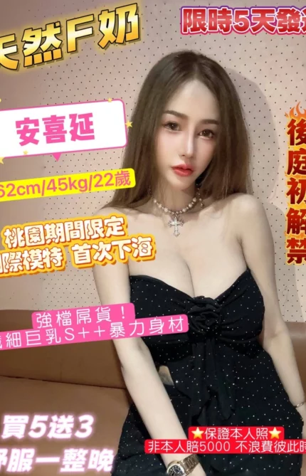 桃園定點茶-安喜延/162/45/22/F
