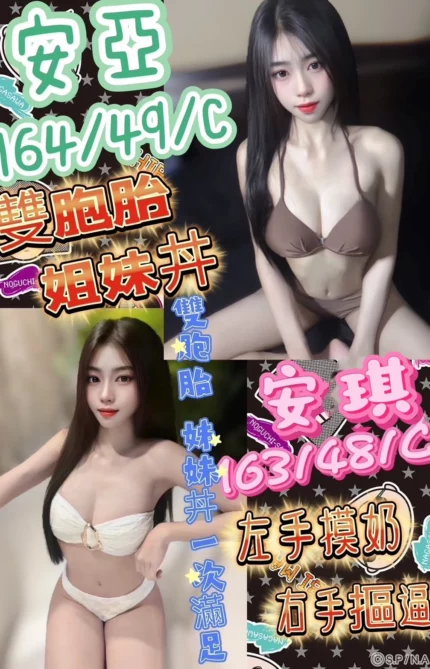 台中定點茶-安琪/163/48/?/C