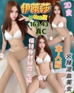 台中定點茶-伊萊莎/163/43/20/C