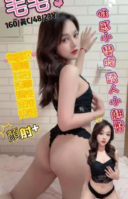 台中定點茶-毛毛/160/48/23/C