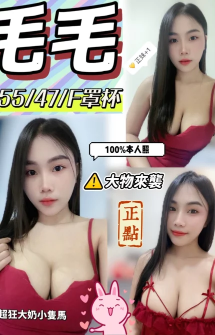 嘉義定點茶-毛毛/155/47/?/F