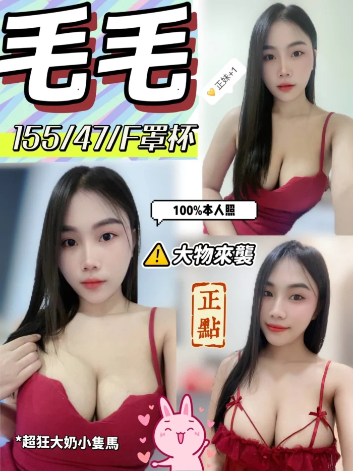 嘉義定點茶-毛毛/155/47/?/F