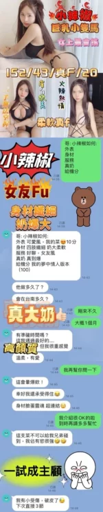 台南定點茶-小辣椒/152/43/20/F