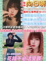 台北定點茶-向日葵/165/49/23/D