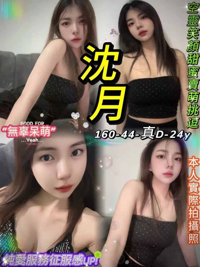 台北定點茶-沈月/160/44/24/D