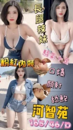 台南定點茶-河智苑/165/46/25/D