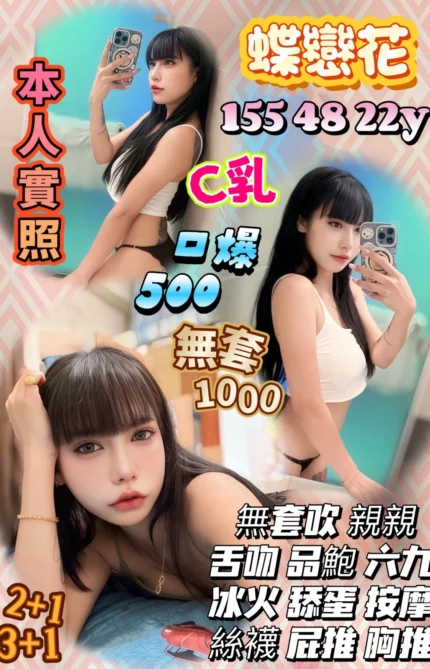 新竹定點茶-蝶戀花/155/48/22/C