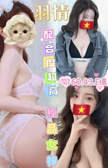 雲林定點茶-羽情/160/43/?/E