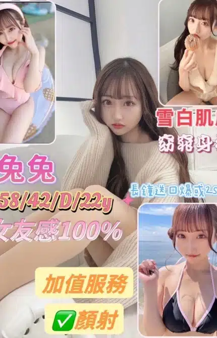 台南定點茶-兔兔/158/42/22/D