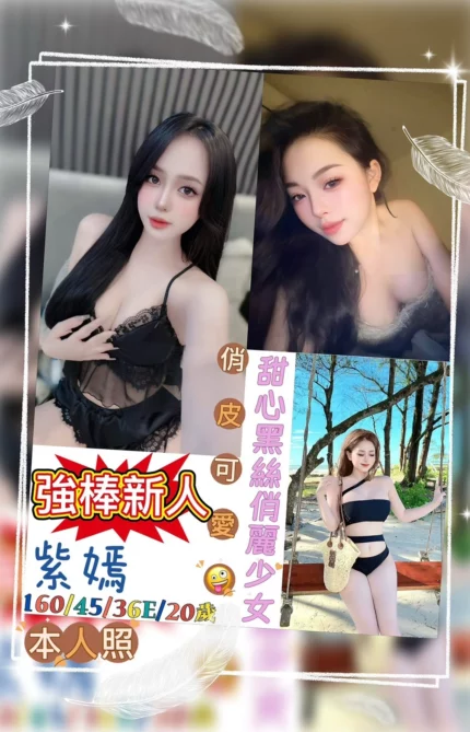 台南定點茶-紫嫣/160/45/20/E