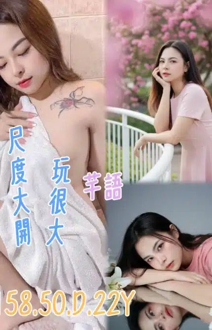 新北定點茶-芊語/158/50/22/D
