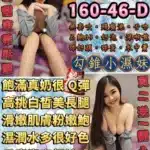 台北定點茶-藍天使/160/46/23/D