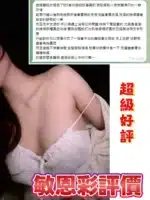 台中外送茶-敏恩彩　/165/45/24/D