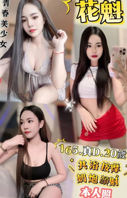 新北定點茶-花魁/165/48/20/D