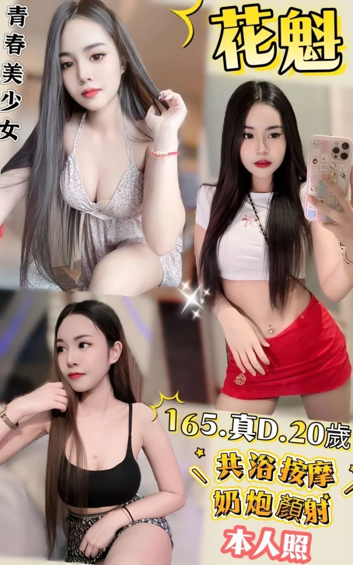 新北定點茶-花魁/165/48/20/D