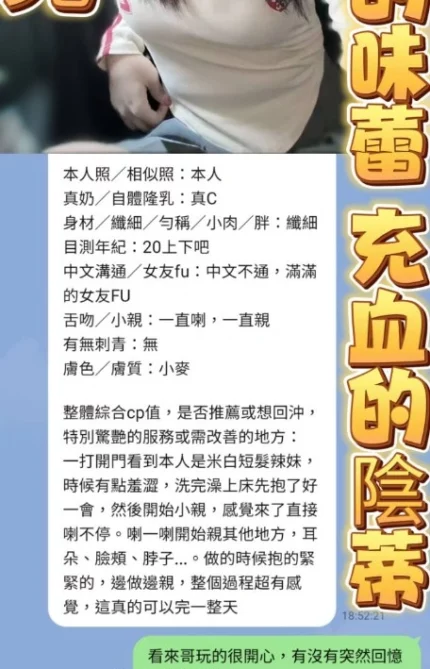 高雄定點茶-小兔兒/161/43/18/C