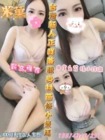 彰化定點茶-米菓/155/43/25/C