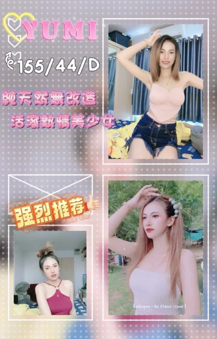 屏東定點茶,外送茶-YUMI/155/44/24/D