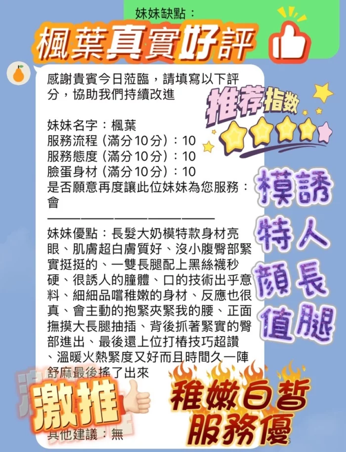 新竹定點茶-楓葉/158/42/20/E