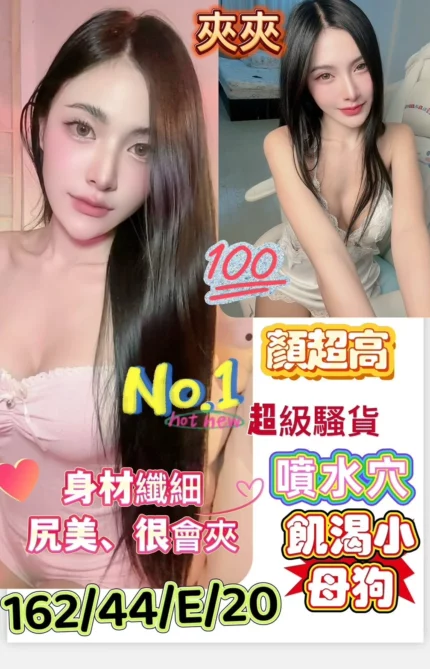 台南定點茶-夾夾/162/44/20/E