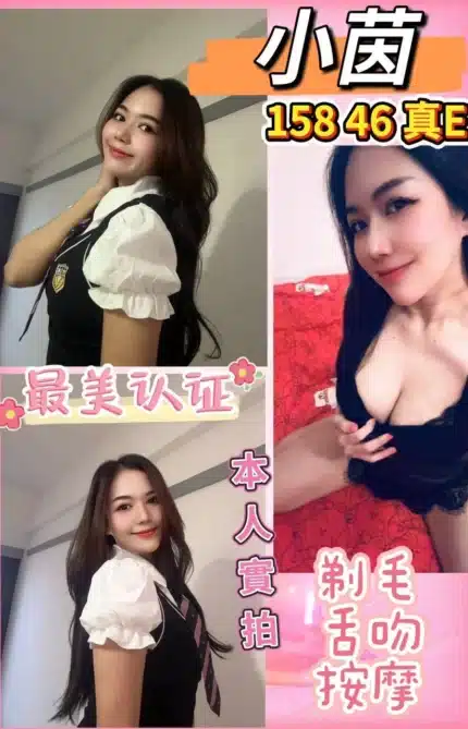 桃園定點茶-小茵/158/46/?/E