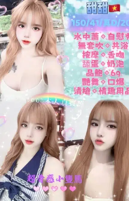 新北定點茶-甜甜/150/41/20/D