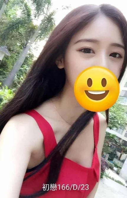 台北外送茶-初戀/166/?/23/D